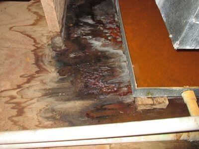 About SurgePeak Co - water damage restoration experts in Everett